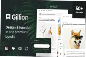 Gillion Theme Nulled Free Download